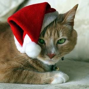 Meet your Posher, Doris